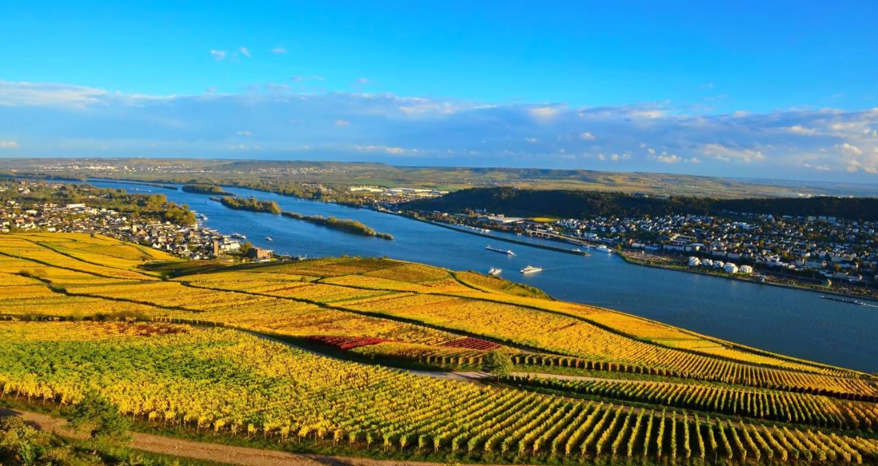 Eltville am Rhein Hotel Kronenschloesschen מראה חיצוני תמונה